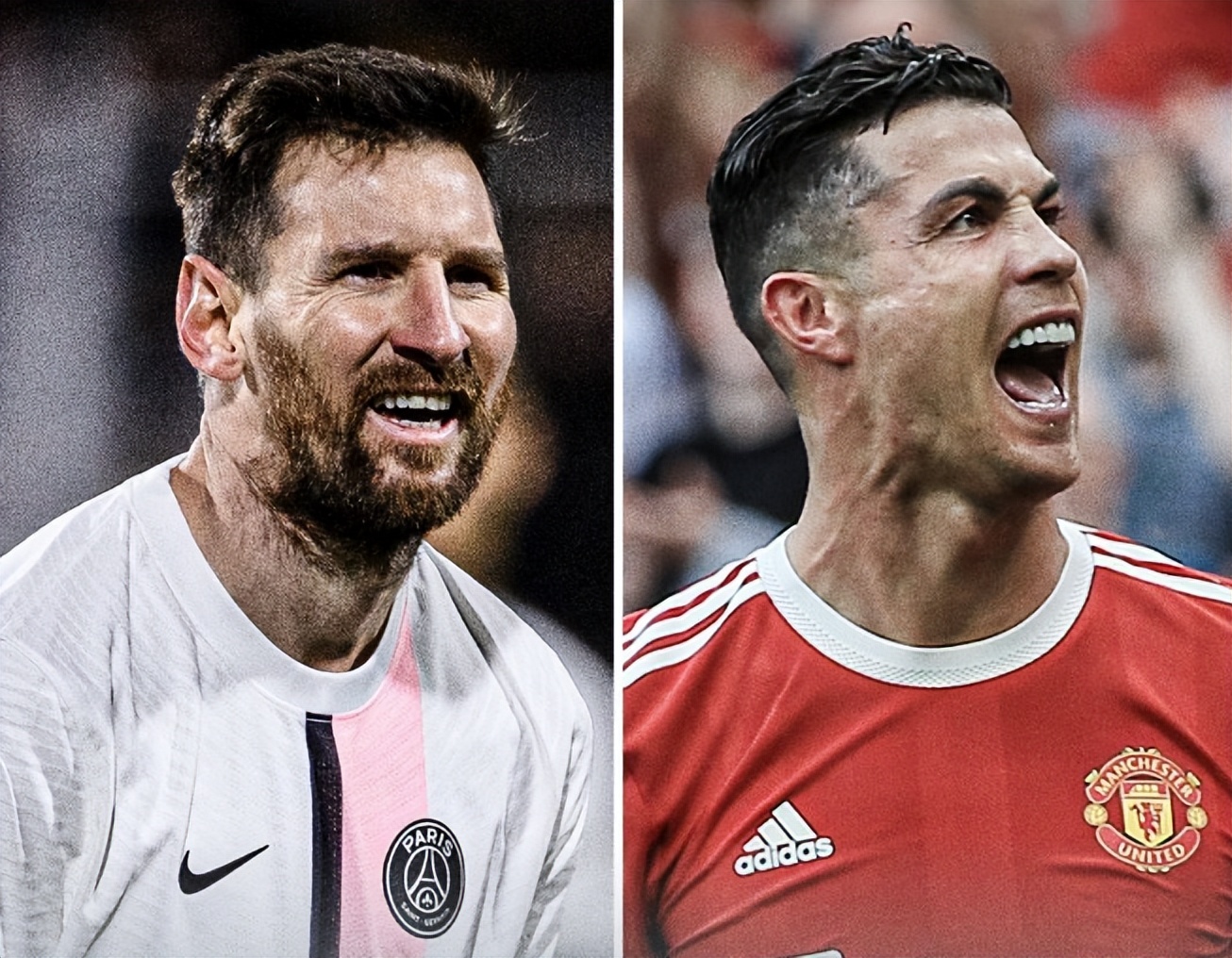 杨多次试图 杨多次试图