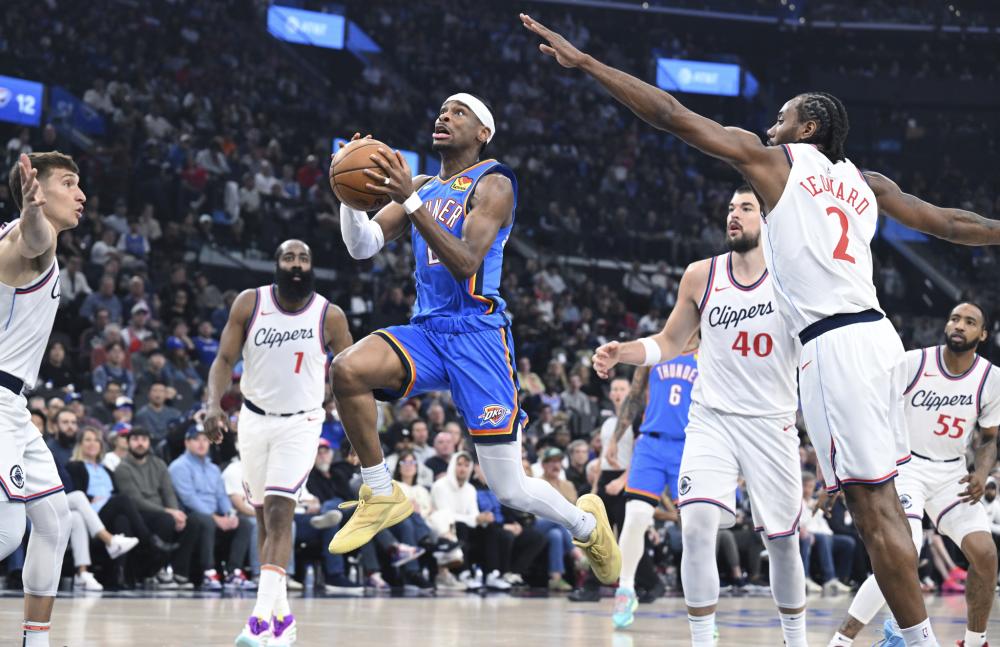 一次关注马 一次关注马